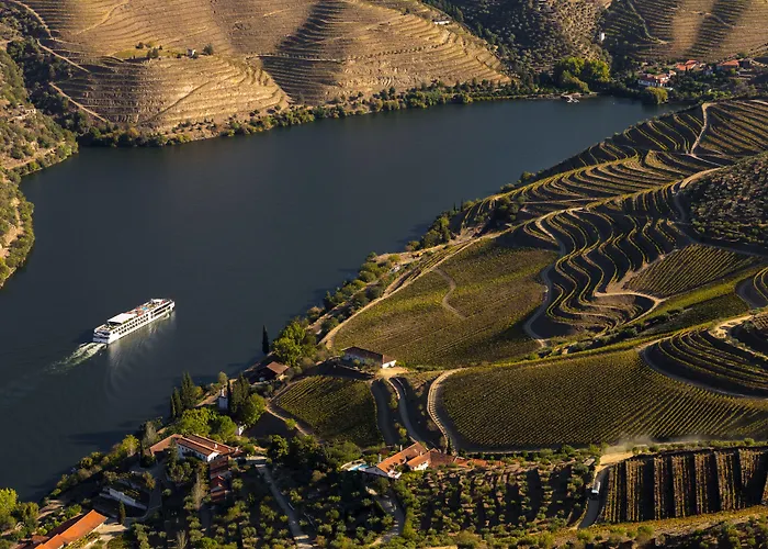 Casa Camelia Bed and Breakfast Porto